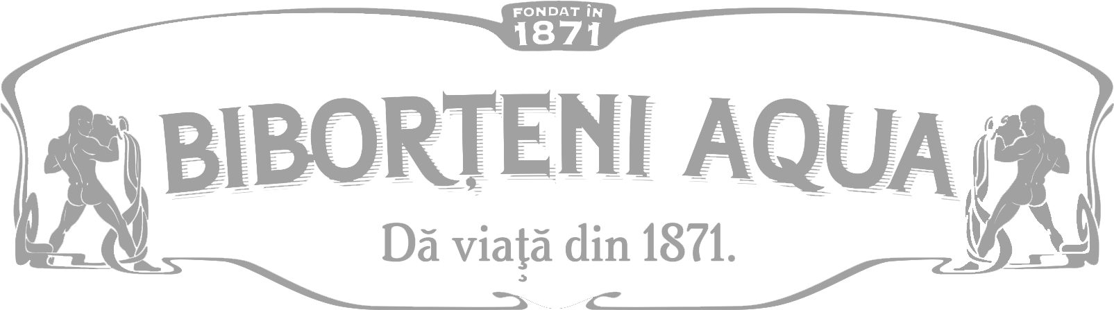 Biborțeni Aqua